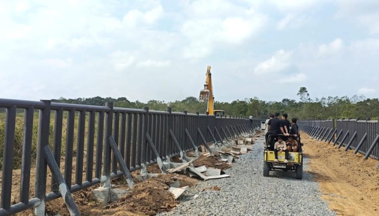 Cegah Konflik Gajah dan Warga, Pembangunan Pagar Besi di Way Kambas Capai 75 Persen