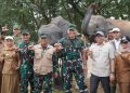 Karhutla Melanda Way Kambas, Gubernur Pastikan Gajah Sumatra Tetap Aman