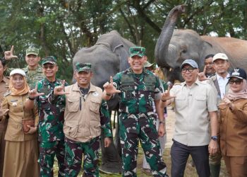 Karhutla Melanda Way Kambas, Gubernur Pastikan Gajah Sumatra Tetap Aman