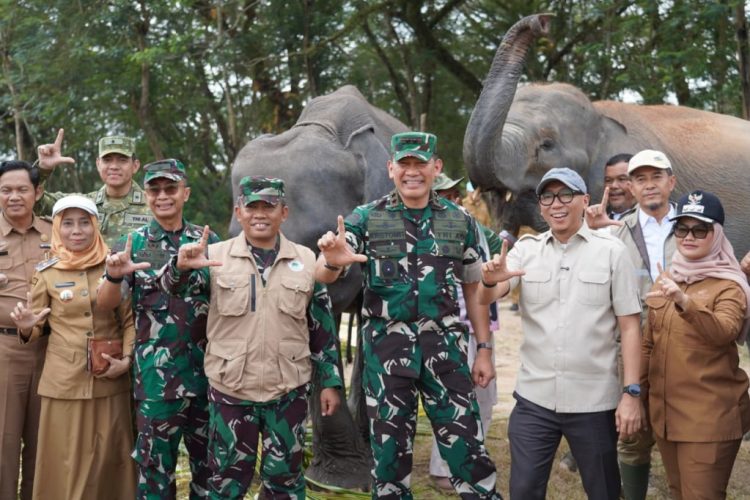 Karhutla Melanda Way Kambas, Gubernur Pastikan Gajah Sumatra Tetap Aman