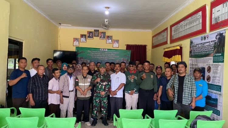 Pagar Lebah Jadi Senjata Alami Cegah Gajah Keluar Kawasan TNWK, Warga Ikut Dapat Manfaat