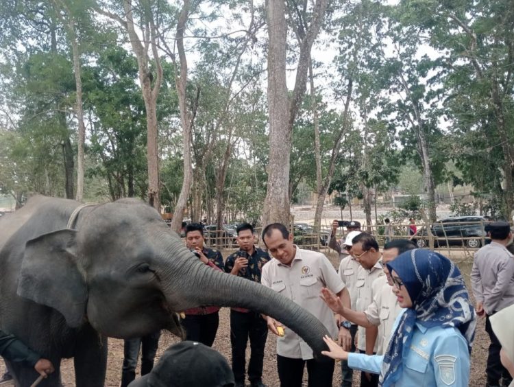 Cegah Karhutla Berulang di TNWK, Komisi IV DPR RI Tekankan Deteksi Dini