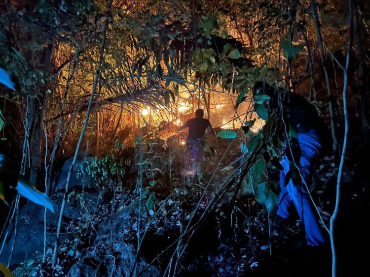 Lereng Curam Jadi Tantangan, Tim Gabungan Berhasil Padamkan Kebakaran Parerejo