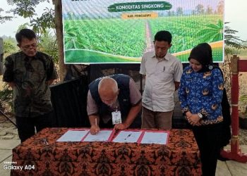 30 Pengurus KDKMP Ikuti Fasilitasi Penguatan Usaha Komoditas Singkong