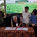 30 Pengurus KDKMP Ikuti Fasilitasi Penguatan Usaha Komoditas Singkong