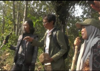 Kisah Ratu Lengkara Kembali Mencuat, Tanah Hitam Disebut Jejak Perang Dahsyat