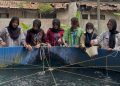 Lapas Kalianda Kembangkan Kegiatan Produktif, WBP Dilatih Budidaya Perikanan
