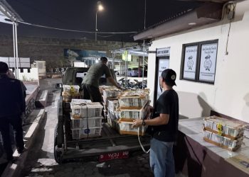 Ribuan Burung Diangkut dalam Kardus dan Keranjang, Terbongkar Saat Pemeriksaan di Bakauheni