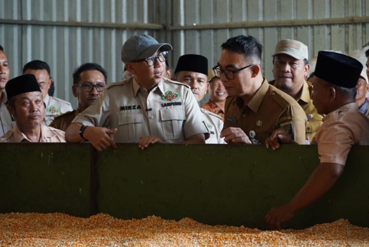 Gubernur Mirza Siapkan Pupuk Organik Cair Gratis dan Dryer untuk Petani Lampung Selatan