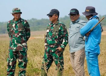 Tinggalkan Rantai dan Gancu, Way Kambas Siapkan Gajah Hidup Lebih Bebas