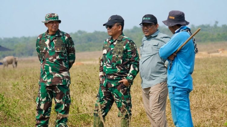 Tinggalkan Rantai dan Gancu, Way Kambas Siapkan Gajah Hidup Lebih Bebas