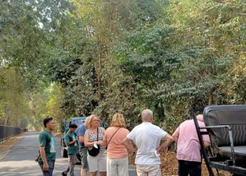 Dari Gajah ke Burung, Wajah Baru Wisata Konservasi Way Kambas