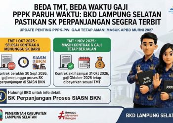 Masa Kontrak Berbeda, Gaji PPPK-PW Lampung Selatan Ikut Berbeda Waktu Pembayarannya