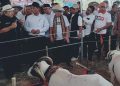 Pringsewu Siap Jadi Pusat Pertanian Modern Lampung, Mentan Amran Terima Sejumlah Usulan
