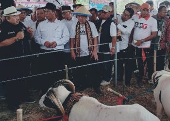 Pringsewu Siap Jadi Pusat Pertanian Modern Lampung, Mentan Amran Terima Sejumlah Usulan