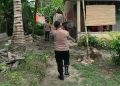 Berawal dari Informasi Warga, Polsek Katibung Temukan Tanaman Diduga Ganja